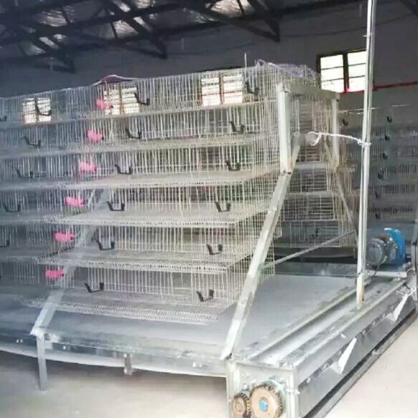 PP帶蛋雞清糞機(jī)